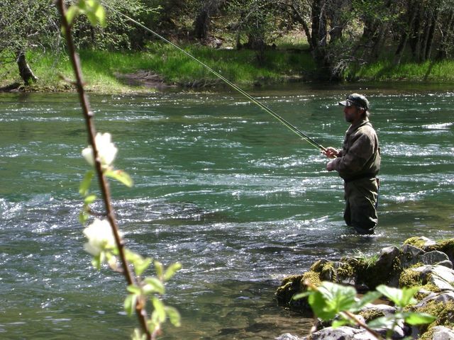 You Wish This Was You