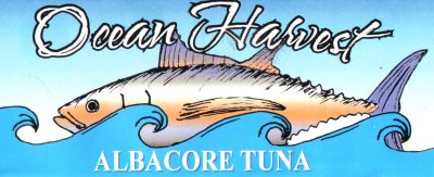 Click to enter web store (if not redirected)